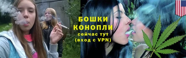2c-b Бронницы